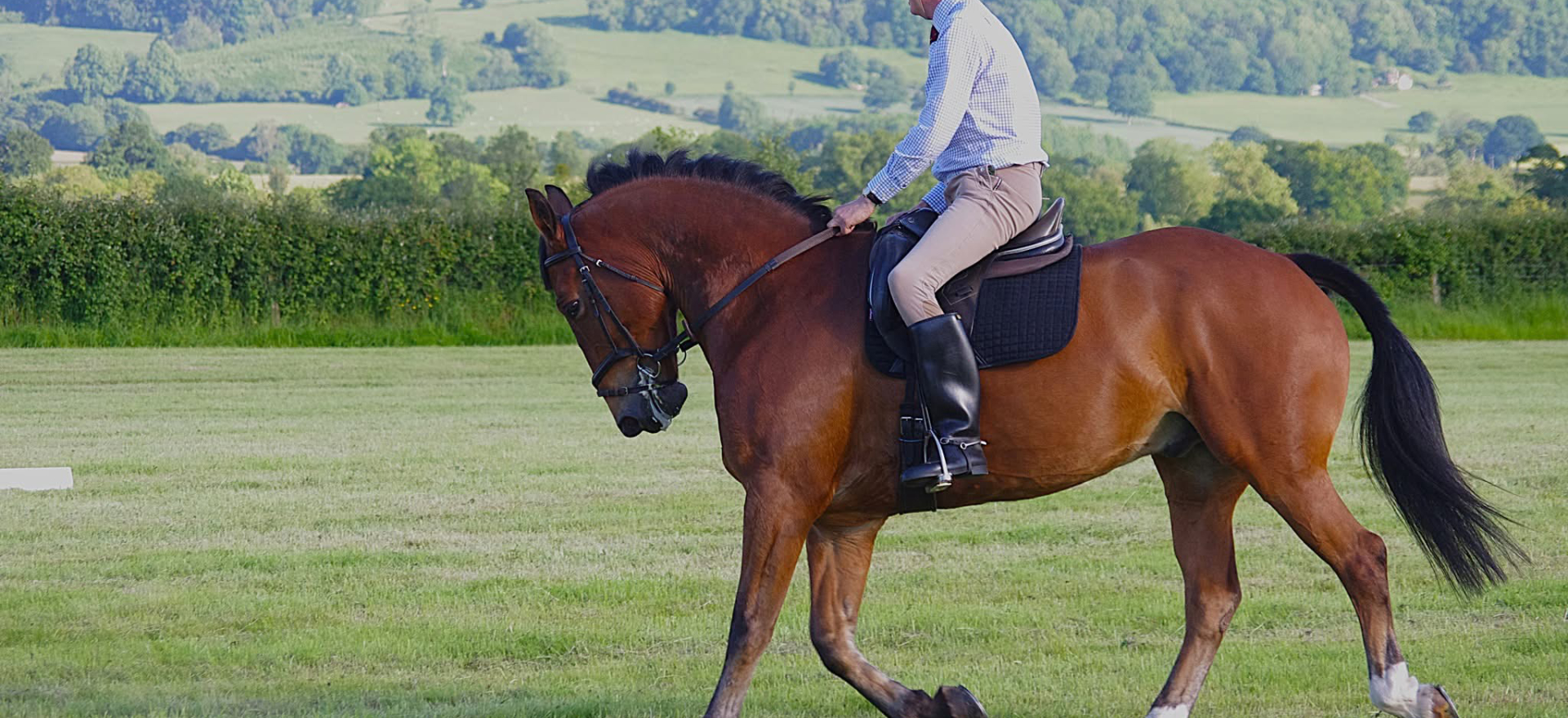 Ludlow & District Riding Club
